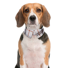 Faleela adjustable bow-tie collar close-up demonstrates chic look for dogs of all sizes.