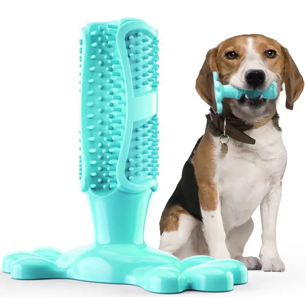 Falnatco toothbrush chew toy close-up with treat dispenser for interactive play