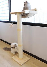 Famifit upgraded cat window perch with suction cups for secure bird-watching perch