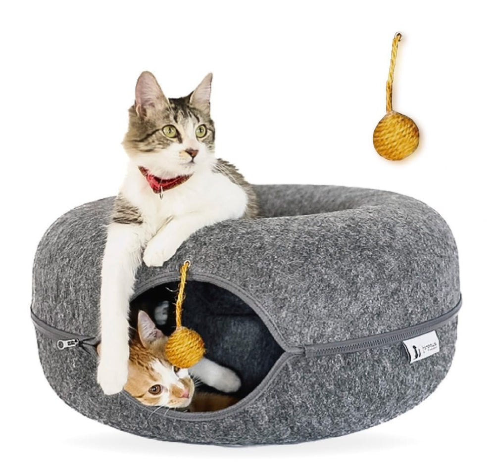FAMPAWS large peekaboo cat cave dome provides cozy shelter for multiple cats