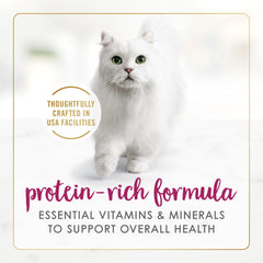 Fancy Feast Delights gravy pour emphasizes savory aroma that cats notice.