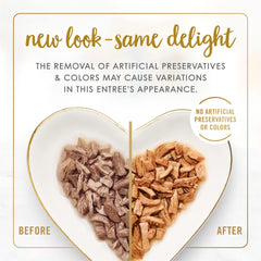 Fancy Feast Grilled chicken chunks closeup—tender texture cats may enjoy