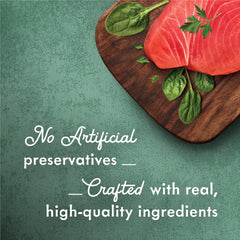 Fancy Feast Medleys tuna florentine with delicate sauce closeup emphasizing tender texture.