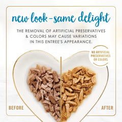 Fancy Feast gravy closeup showing savory texture for mealtime appeal