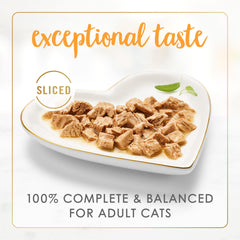 Fancy Feast Sliced Turkey Feast wet cat food gravy closeup — savory gravy enhances flavor appeal