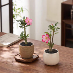 FANTIAN decorative sand for vases and candles adds modern decor flair