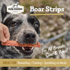 Farm Hounds Boars Strips closeup texture shows chewy bite