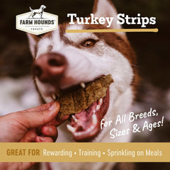 Farm Hounds Turkey Strips close-up jerky reveals natural texture.