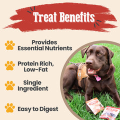Farm To Pet beef chips close-up highlighting single-ingredient nutrition for training rewards