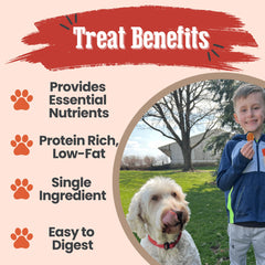Farm To Pet single-ingredient turkey image emphasizes hypoallergenic, easy-to-digest nutrition for sensitive dogs.