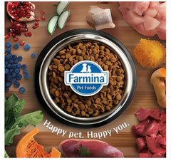 Farmina N&D Ancestral Grain pumpkin blueberry dog meal with fiber.