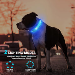 Fashion&cool USB-rechargeable dog light clip for easy collar attachment.