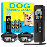 Fatjopet dual-channel remote enables synchronized training for two dogs in open spaces.