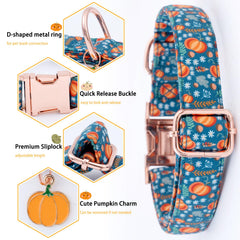 Faygarsle leaves chestnuts pattern dog collar showcases seasonal design for celebrations.