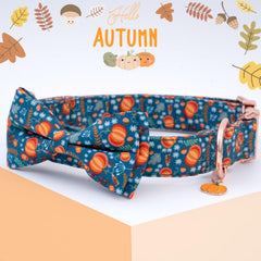 Faygarsle orange cotton dog collar closeup highlights soft material and comfy wear.