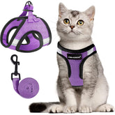 FAYOGOO cat harness mesh vest for breathable, secure daily walks