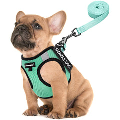 FAYOGOO dog harness for small dogs features breathable mesh for lightweight comfort during walks.
