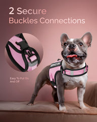 FAYOGOO vest adjustable neck and chest for small breeds.