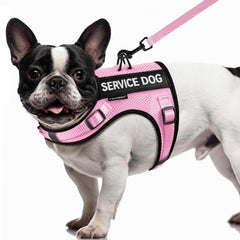 FAYOGOO service-dog-vest air-mesh offers breathable comfort for daily walks.