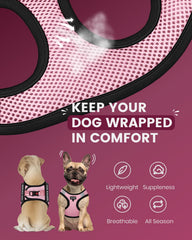 FAYOGOO small-breed harness with step-in closure for quick onboarding during training