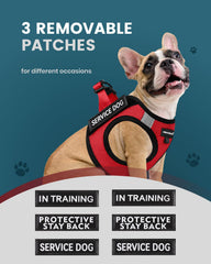 FAYOGOO service dog vest back view highlights secure buckle and snug fit