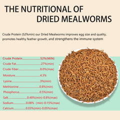 FCI GRUBS dried mealworms resealable bag for easy storage and freshness