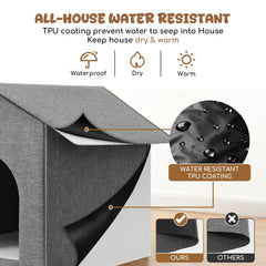 Interior with warm cushion highlights cozy resting space for cats