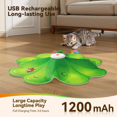 FEELNEEDY Cat Toy with Type-C recharge enables quick, convenient recharging.