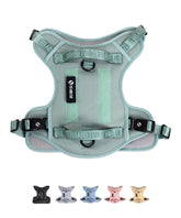 Fei & Eve Classic Harness front clip aids pull control during walks