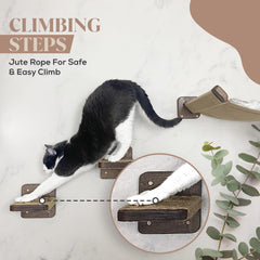 FELINE&ME wooden cat wall bed setup shows sturdy, stylish sleeping perch.