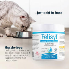 310 servings indicator highlights value of Felisyl L-Lysine for long-term use.