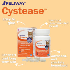 Feliway Cystease tablets close-up showing white capsules for bladder lining support