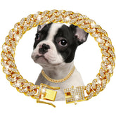 fengco gold diamond Cuban link dog collar closeup highlights sparkling zirconia crystals for upscale pet style