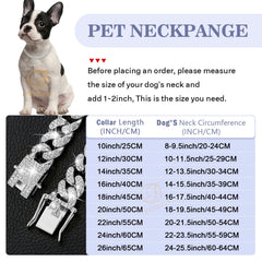 Fengco silver dog collar closeup highlighting zirconia stones and zinc alloy build