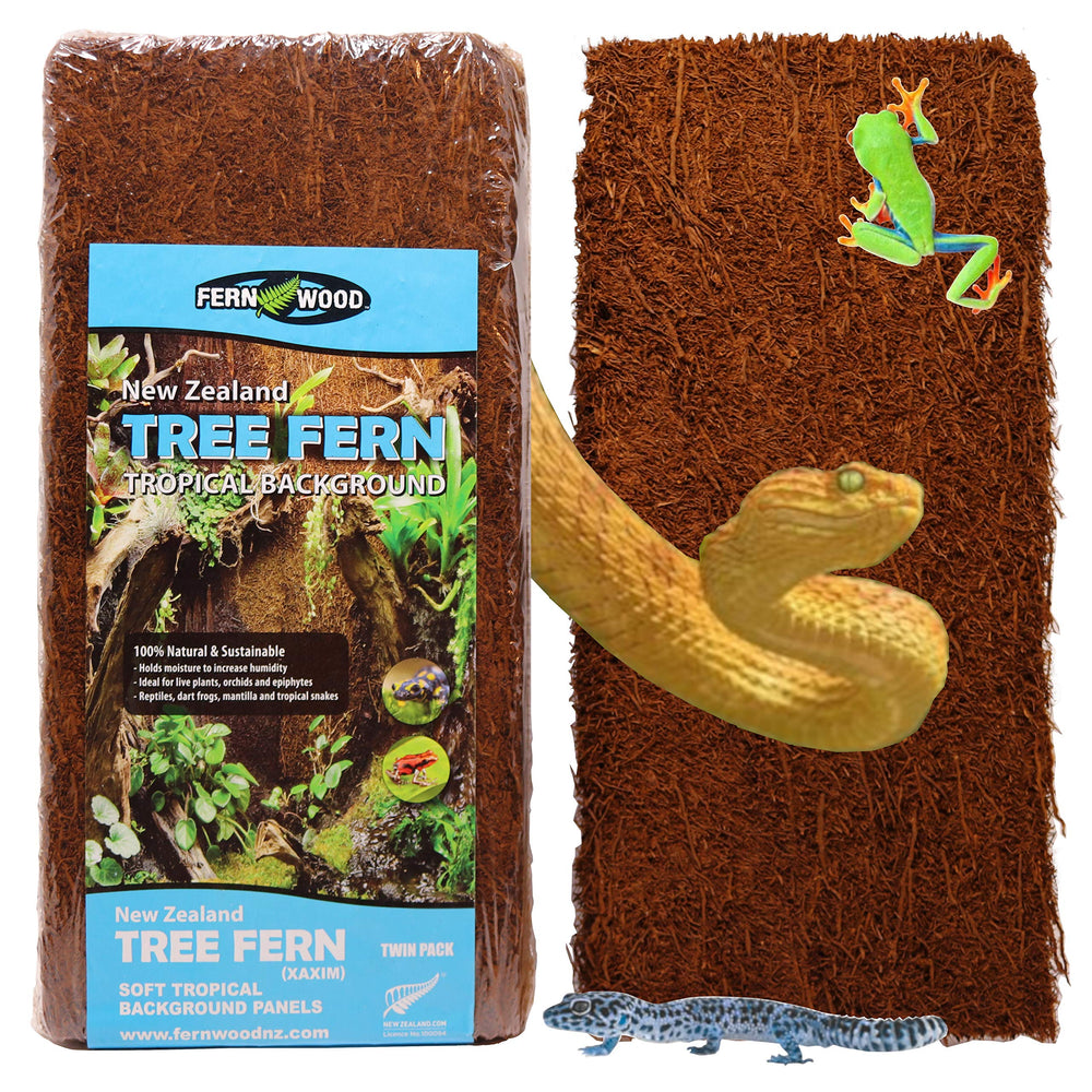 Fernwood tree fern panel natural texture for authentic vivarium aesthetics and habitat enrichment.