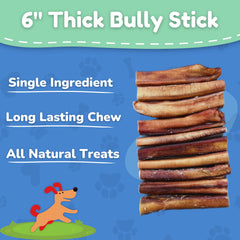 Fetch & Fun BULLYSTICKS dog chewing close-up shows mental engagement during chew.