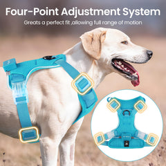 Feycig harness uses breathable air mesh for comfortable outdoor use.