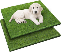 Fezep two-pack dog grass pads overview with soft turf for potty training convenience