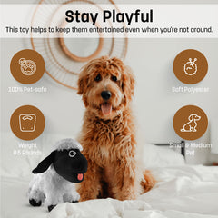 FGA Marketplace Black Sheep Plush Toy in use during rough play with dog
