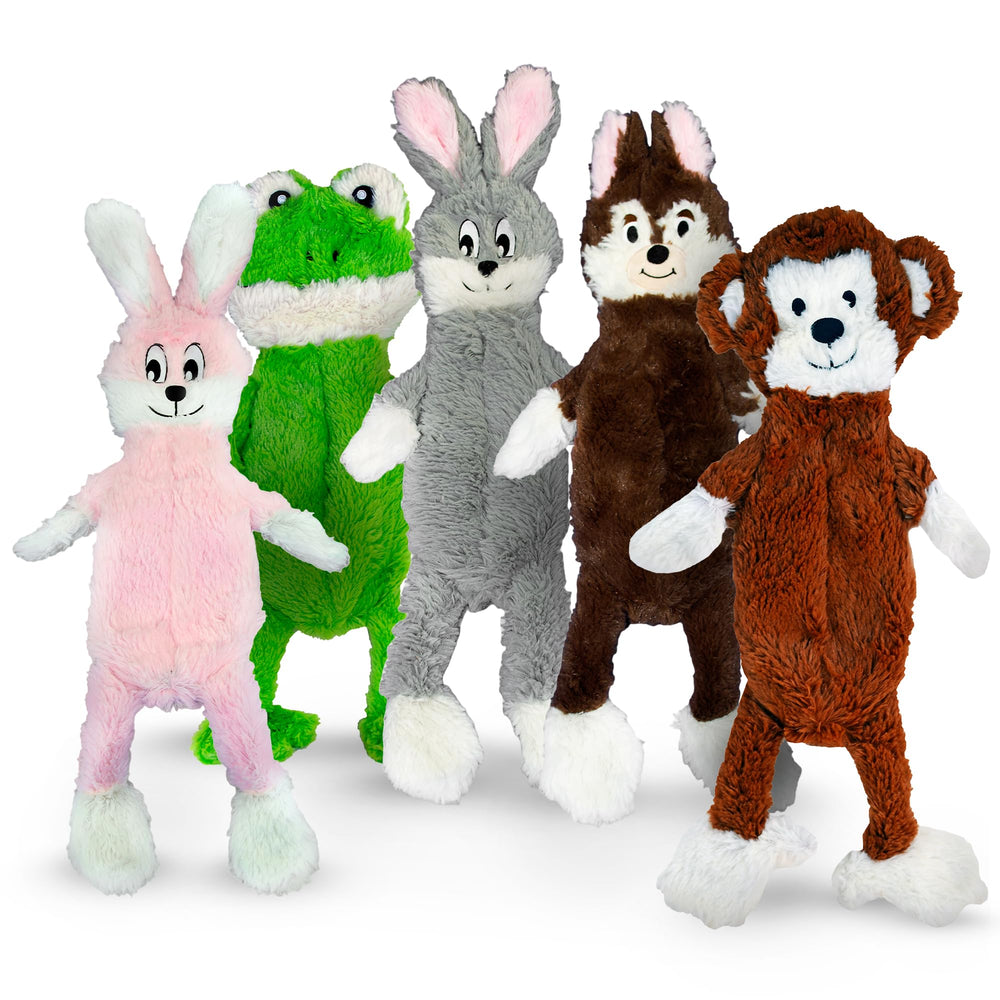FGA MARKETPLACE bundle 5 flat no-stuffing dog toys for quiet playtime