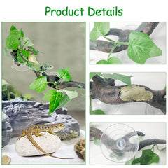 Fhiny reptile branch bearded dragon use shows hiding and perching space