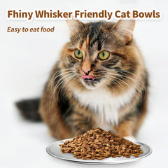 Fhiny stainless steel cat bowls—durable, everyday dishware for multi-pet homes