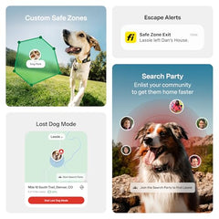 Fi Series 3+ yellow collar Apple Watch integration shows live location from your wrist.