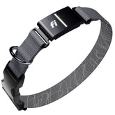 Fi Series 3+ collar on a dog for precise GPS tracking and peace of mind.