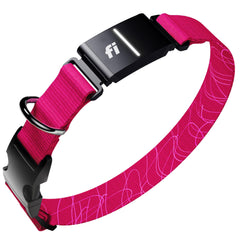 Fi Series 3+ pink collar front view showcasing visibility for daily adventures