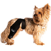 Fico dog knee brace right leg strap provides secure support for active recovery