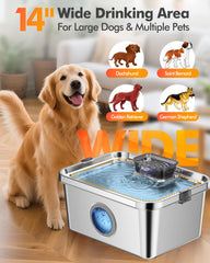 Ficuswin dog water fountain quiet pump keeps a calm living space.
