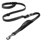 Fida 6-in-1 overview shows versatile leash for hands-free walking and control on busy streets
