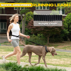 Fida hands-free crossbody view highlights accessibility with secure dog control