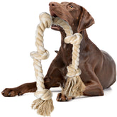 Fida dog rope toy 3ft 5 knots engages aggressive chewers in interactive play.